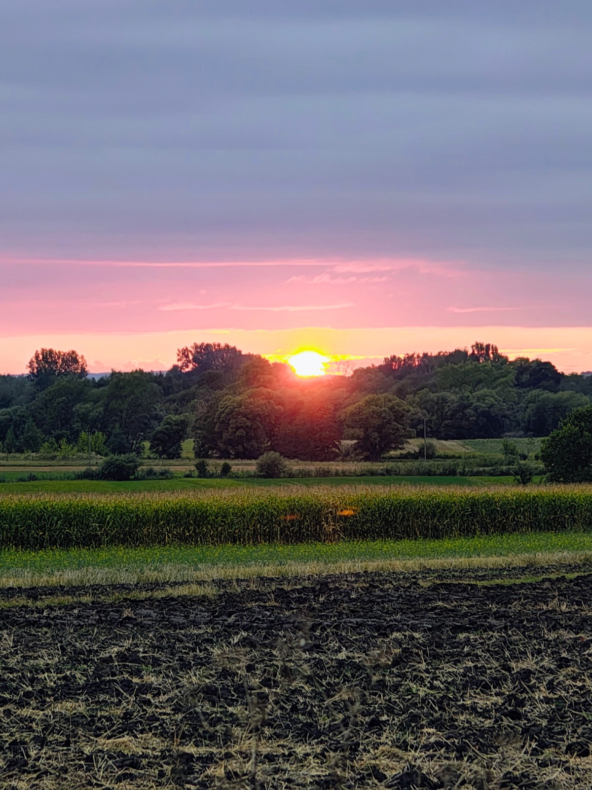 19aa3b3a-34dc-4e33-b558-435323600748