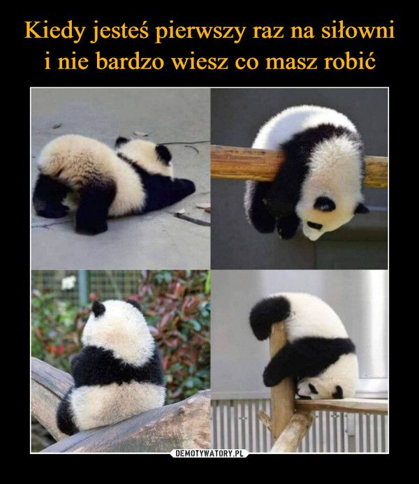 2a57a3b4-0b0f-4192-8da8-f54975ba86e2