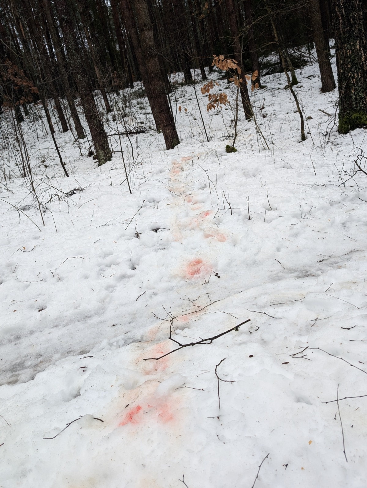 ac41e786-8231-4fa6-ad3e-c02052397ef6