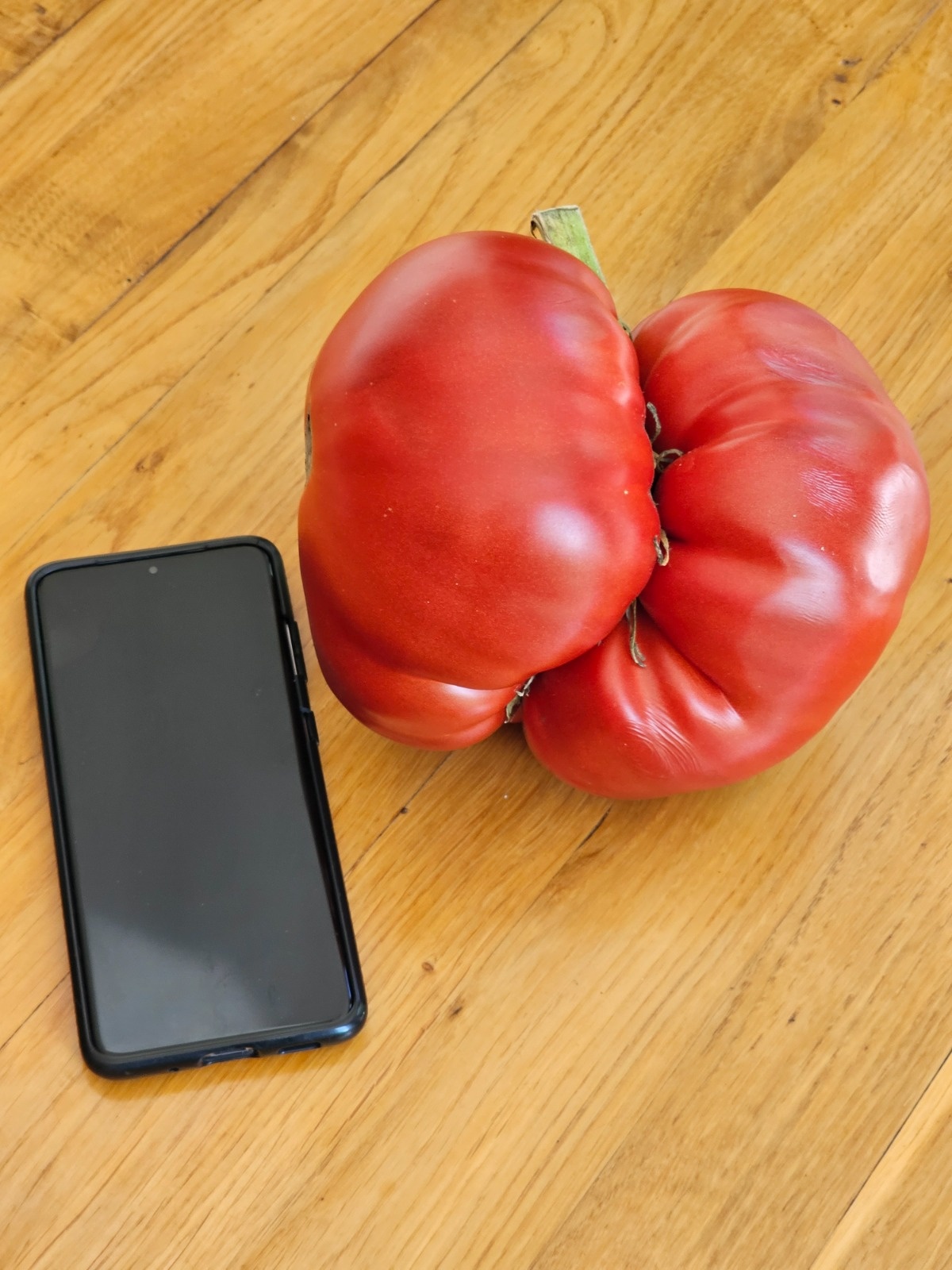 b1d53775-9a95-4467-b45a-461779af3410