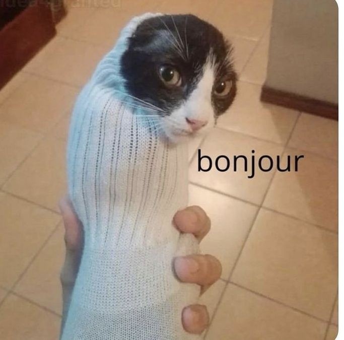 6e3f8aea-594c-4792-8a37-63b1404cb1cf