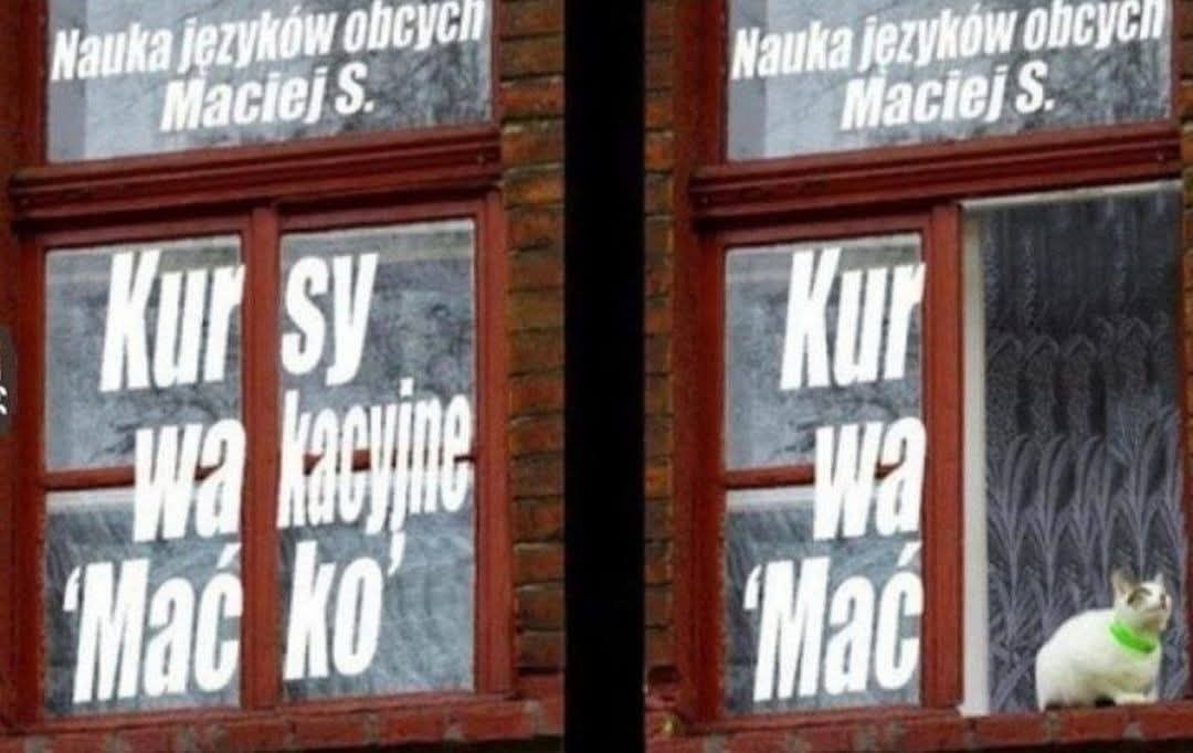 9ba9acb2-6a51-44f9-962a-c0d0340bd2b4