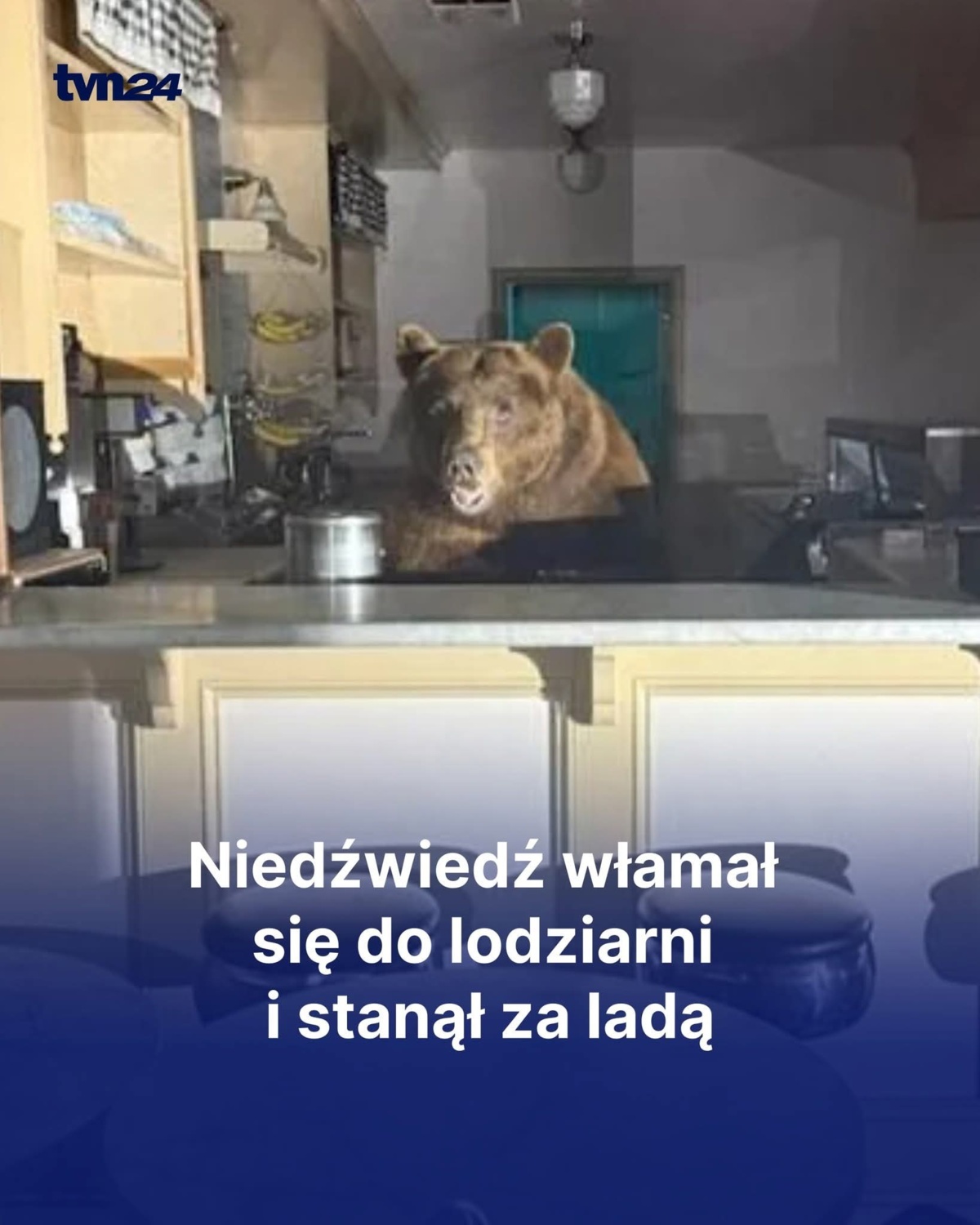 2f390f69-300d-44cc-bd6b-27a262cef9ef