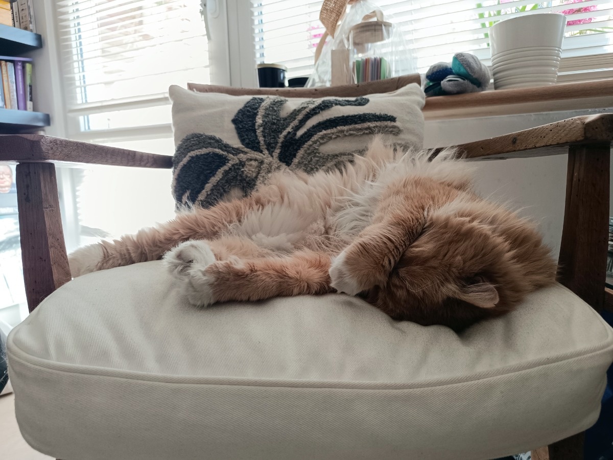 29aa0d55-29fd-4c04-86a1-f3b48d171d1f