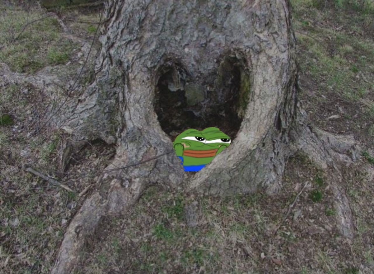 510bb72e-294c-4e93-964e-1923d9bcee4d