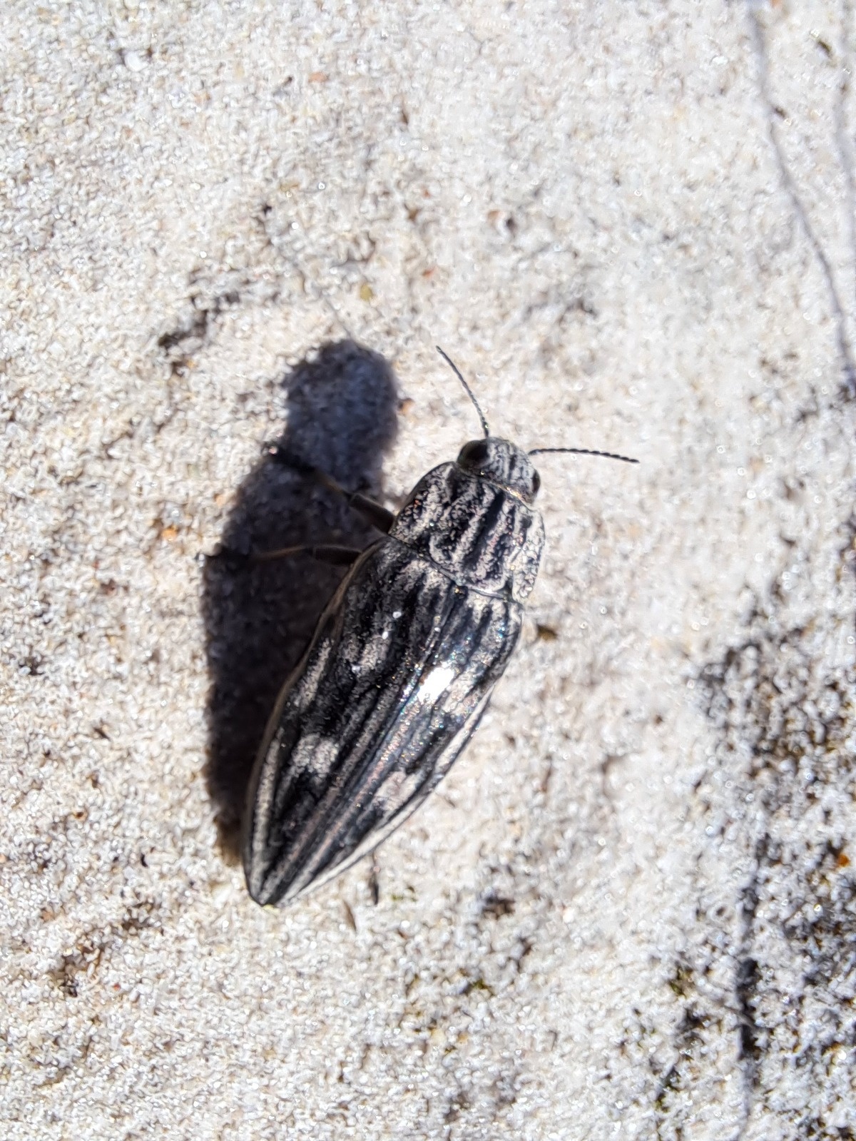 d56d7024-acca-47c6-bf87-0c2ee0e34d7c