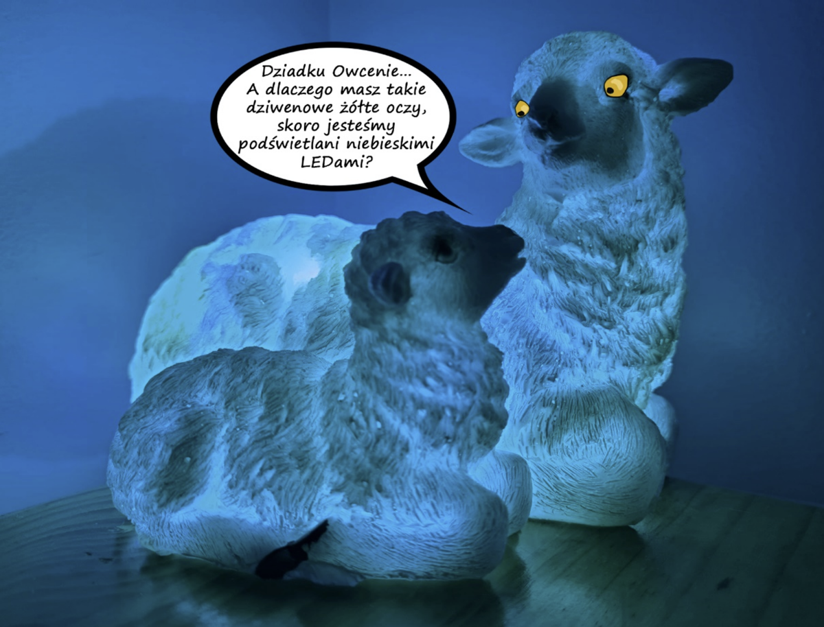 7324e149-2590-4986-bf44-c844dde1b2fa