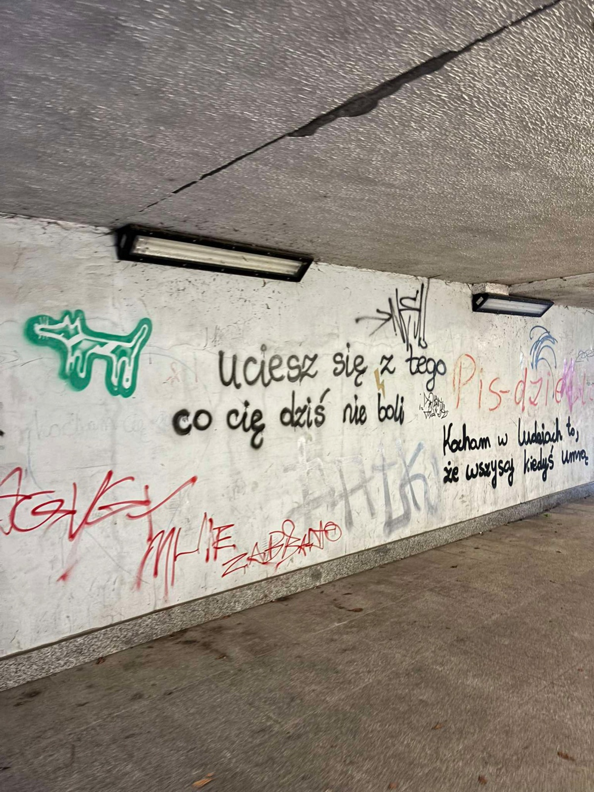 11d0c1b6-f2ba-4835-b769-86b328e3b982