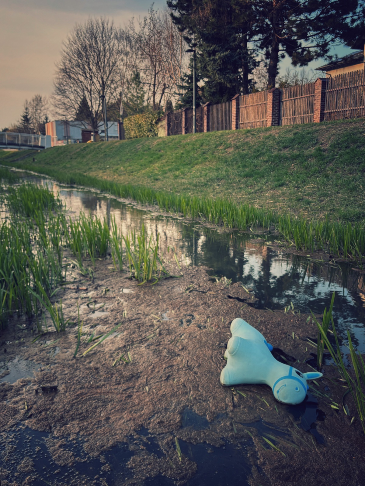 c8abc833-01a4-4bbc-b0ff-affe956164cd