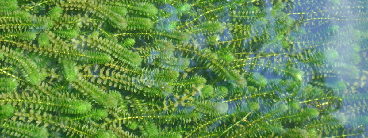 b8691ce1-c622-4559-8497-648e002d9a60