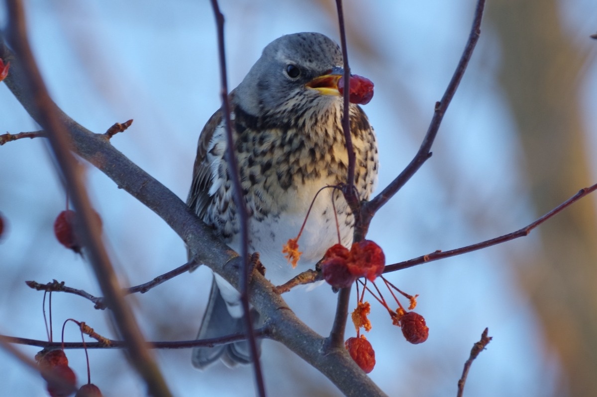 c9475fba-c154-4861-8f32-f41f5a65b055