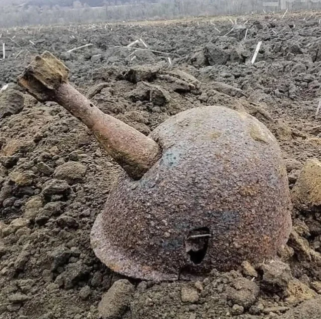 5444acbf-4ae5-4520-9107-7319edf30b5b