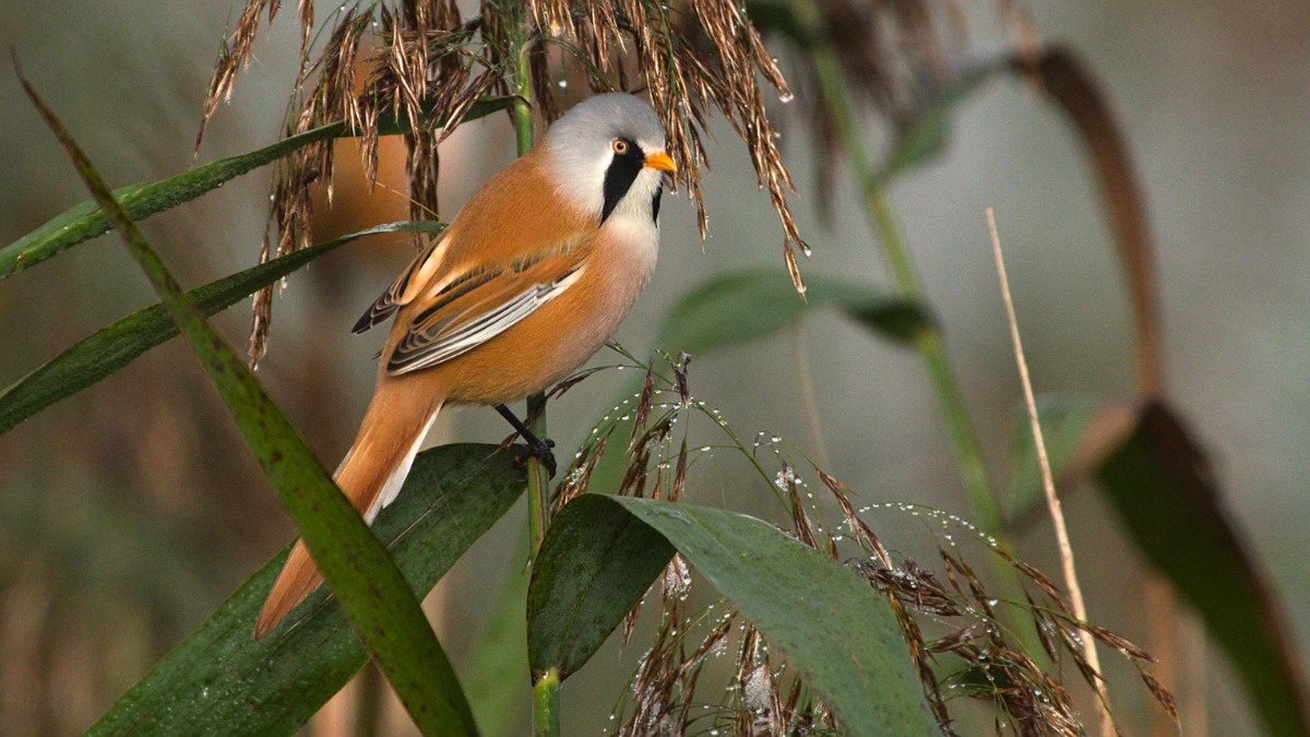 80a174cb-c028-4c97-81e7-1cd4f4721ca9