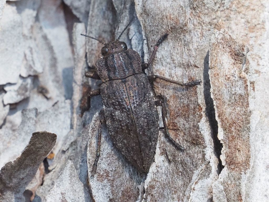 6c3ebfd0-ddaf-490f-b5fd-d13a7b85ee3d