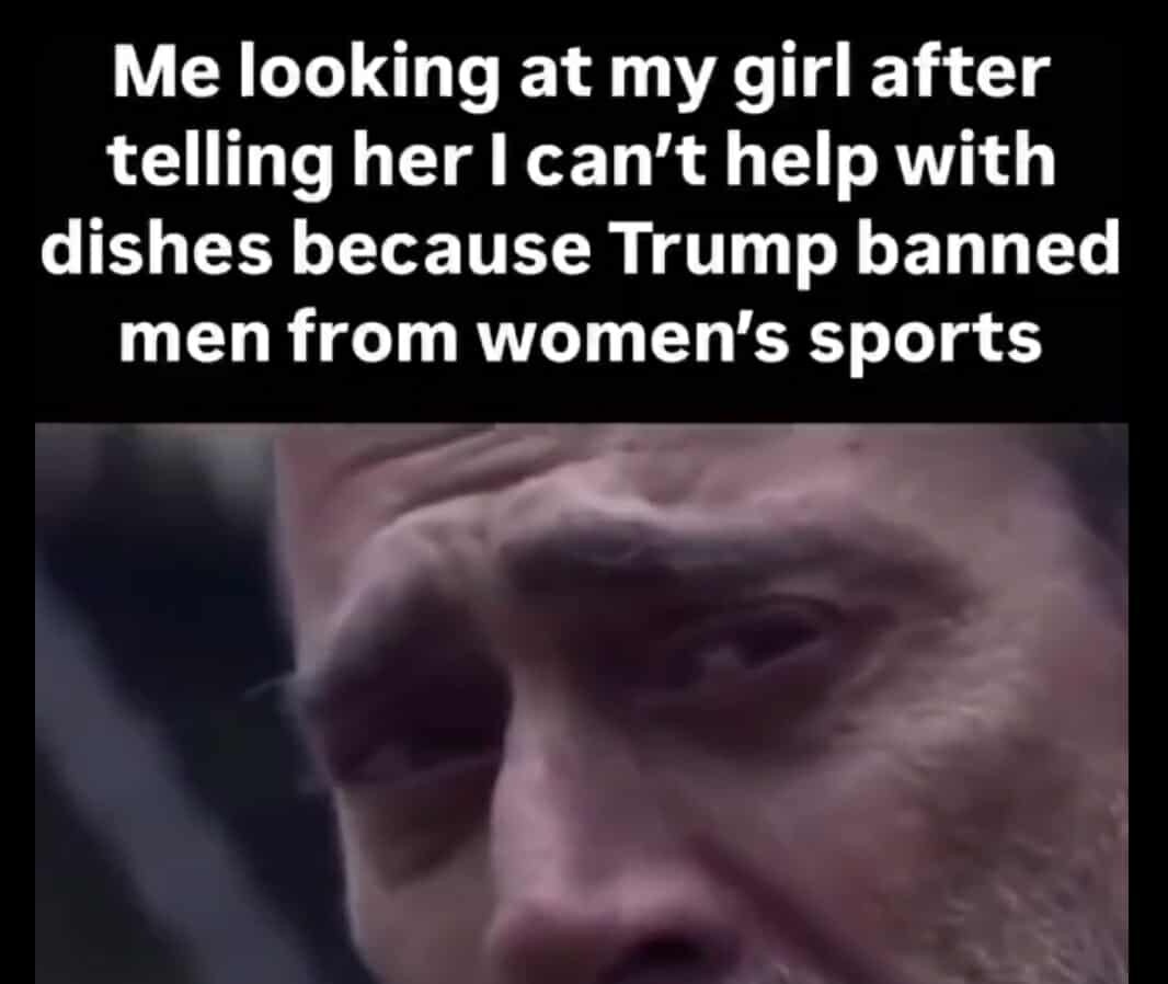 25eff3d7-2bf3-4961-8b47-79aae624e20a