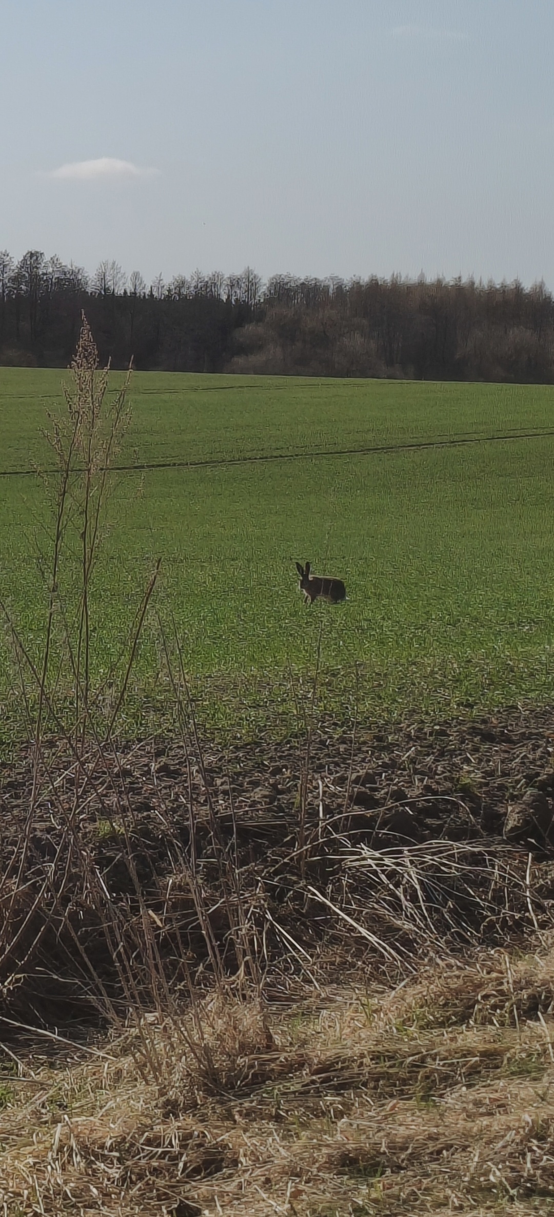 c0892f04-5510-498f-9e8f-611abea5f7be