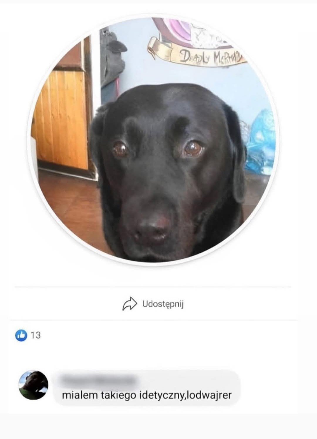 2b5a014e-bfa8-48c2-8d25-9070ae3336c2