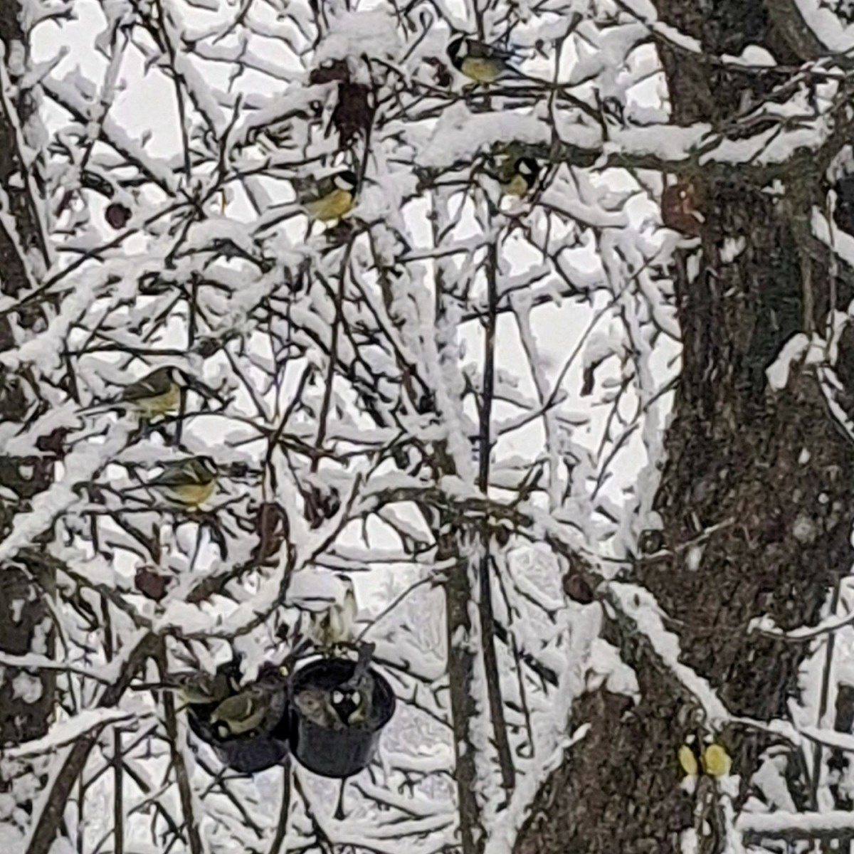 98d0b448-f5dd-4b3a-86dc-d61223427881