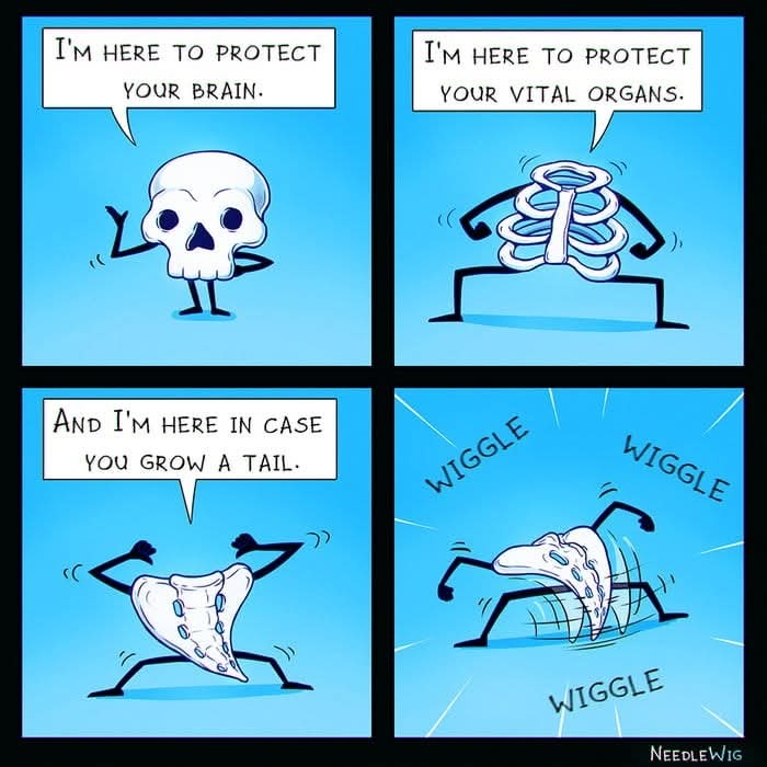 c50b6cf5-f83f-4791-9cbe-80b2402342c7