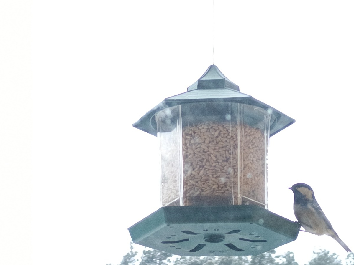 c4d8423f-b6b8-4b46-91b8-acdae31d42b6