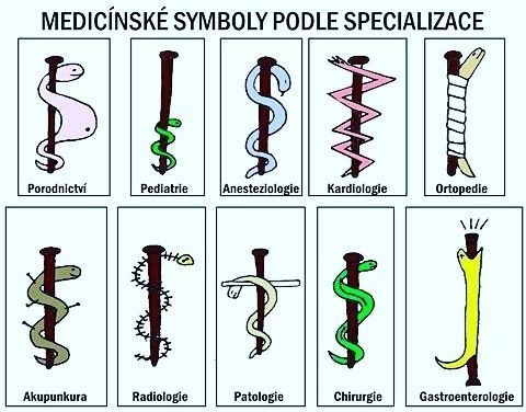 9c30f22f-d457-4e3b-9d9d-c0e425397b1d