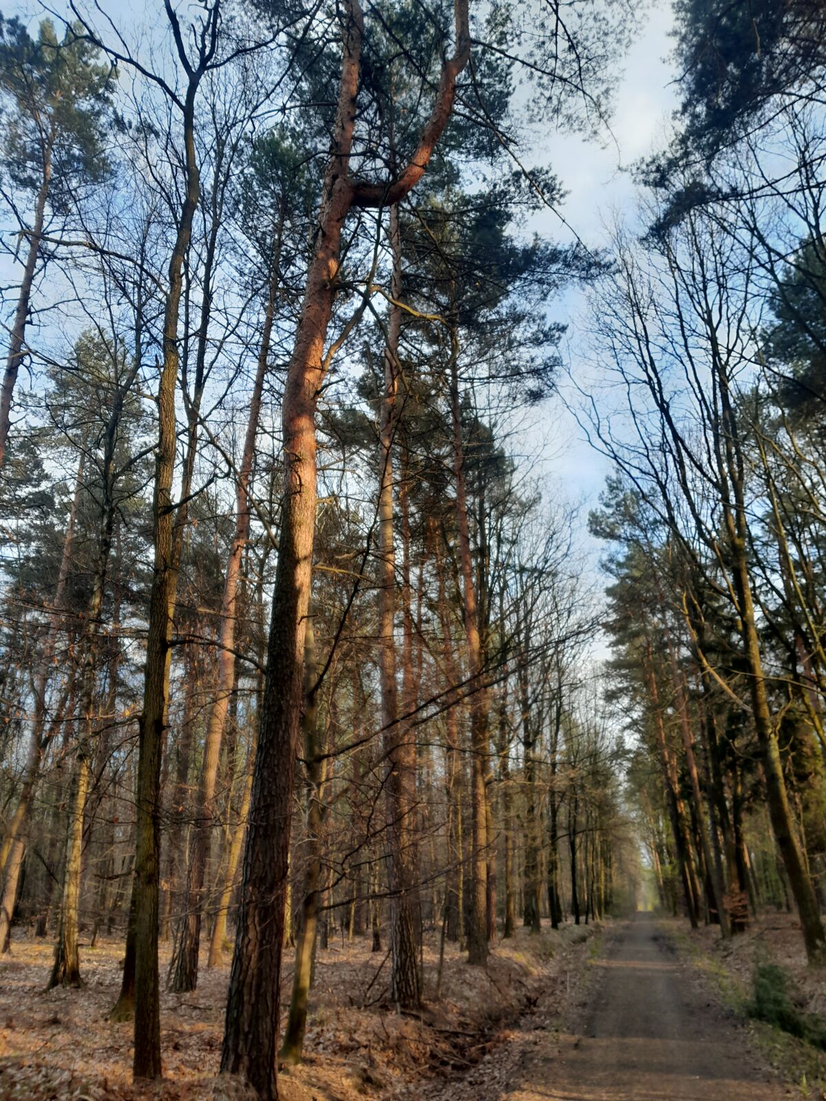 6fb590fe-342f-4590-93a1-65f4b10e6eb6