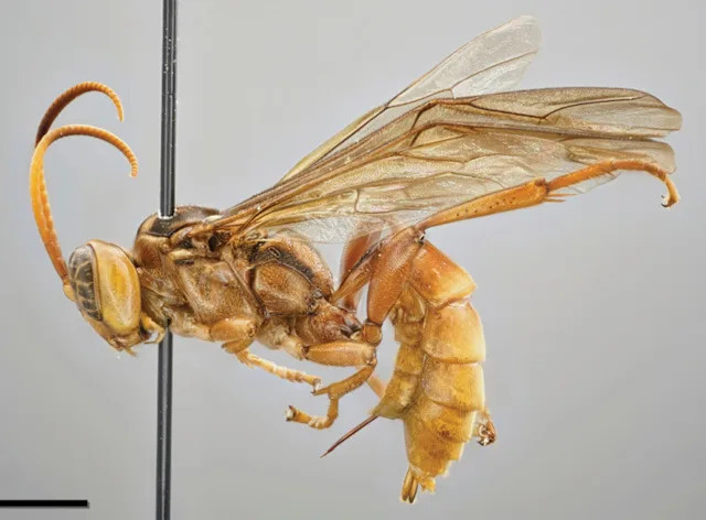 17066336-c774-4a57-b8b1-1624e0a55fe8