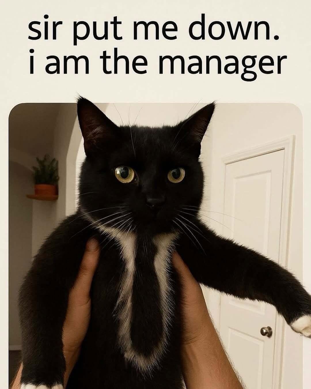 bf4c5d01-e322-4a77-a6e8-ff776d68c0f4