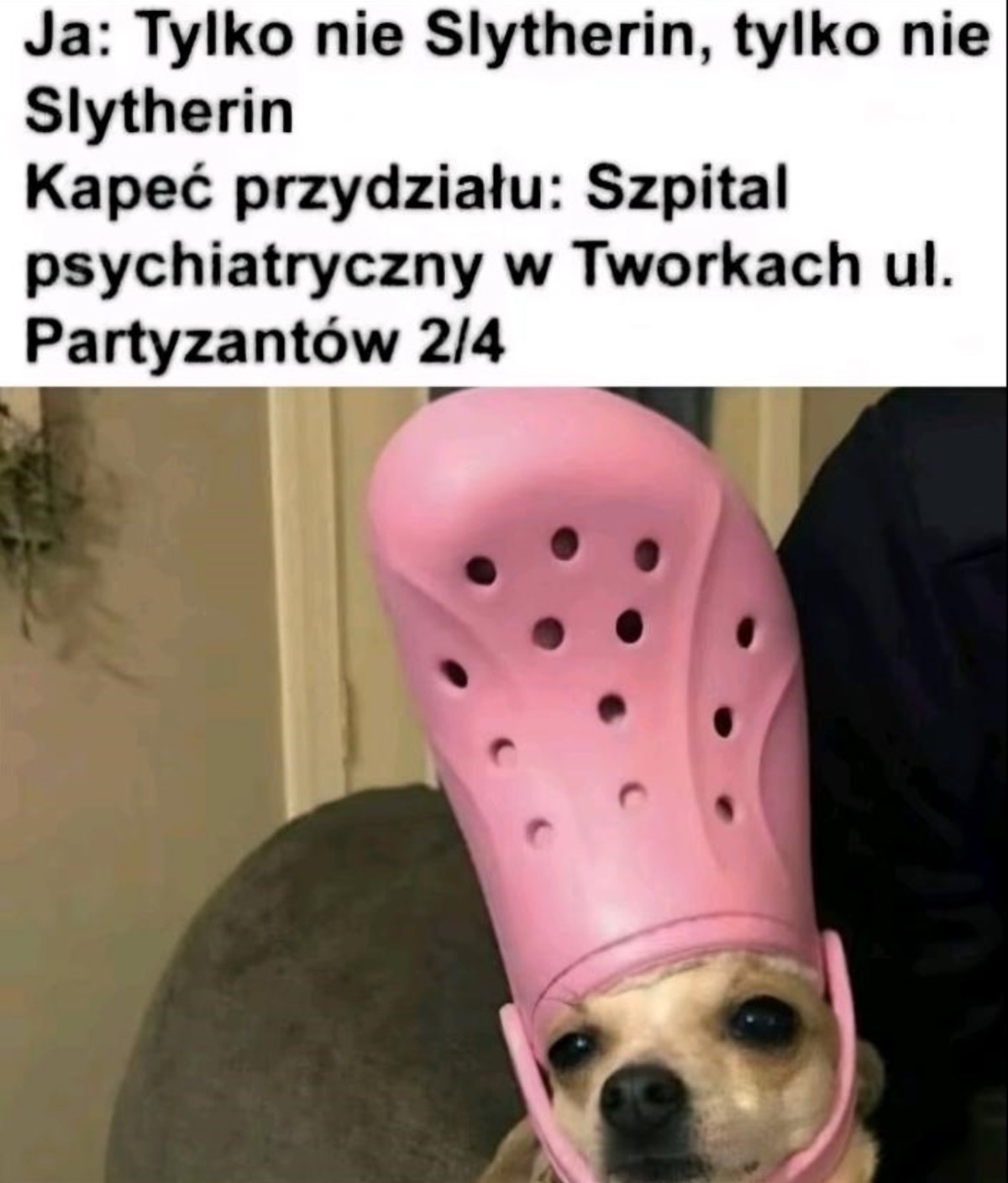 d02d29af-0b45-4ed2-836b-b0824c305fa7