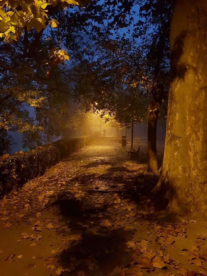 d7740261-5784-47ae-bb22-ee90c2ec5536