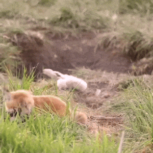 cc959c49-9a99-4d2c-891b-2dd1109d13b6