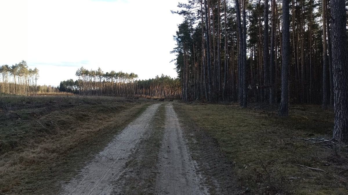 fa2aac24-7c61-4c7a-9043-34b385a37796