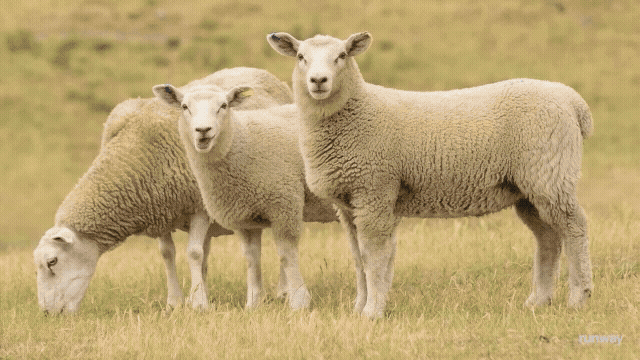 04af1e17-ccc6-44dd-8011-a0ebe5421f62