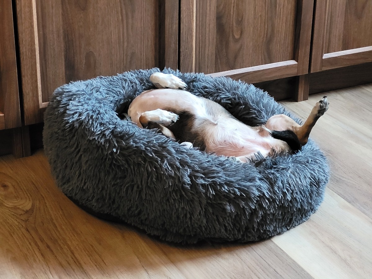 65fb20f2-a742-4d3c-9872-c3143184498e