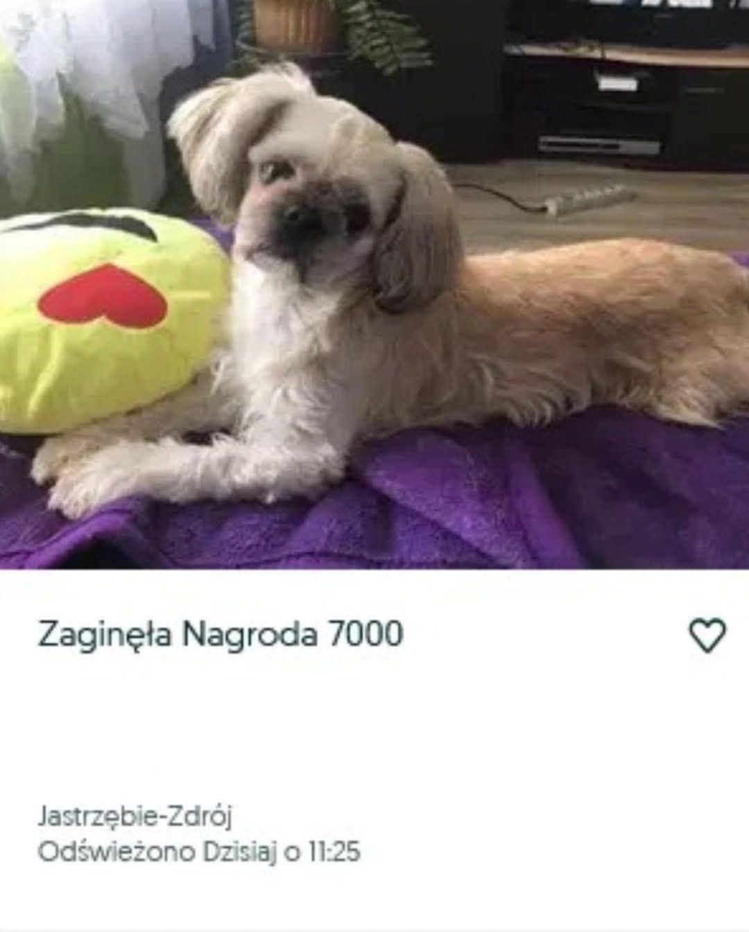 2f59dede-5ec2-435e-8192-d91923541efd