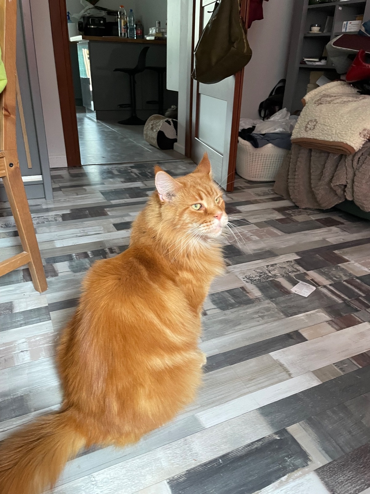 e475d88a-83a9-4158-a2d6-71318c5d0867