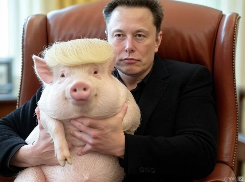 02a46a13-590c-4899-ac1b-134acfbda3dc