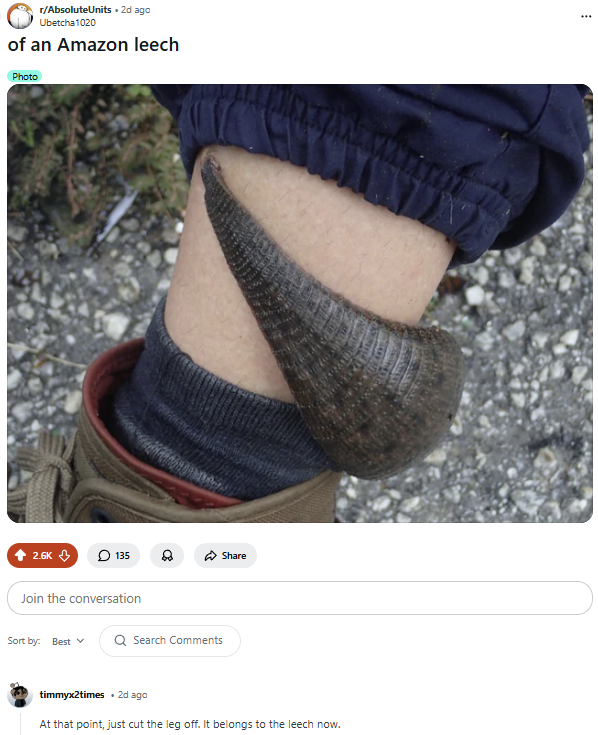 d2422b4f-e731-4715-9f19-5ce5001ed227