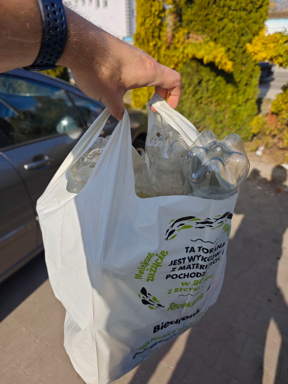 5066848c-e07c-46d4-b317-5b4c85a38ea0