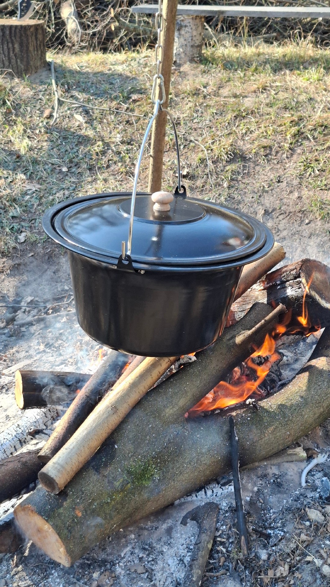 3f0665aa-9220-4629-8362-d1e9046b04ab