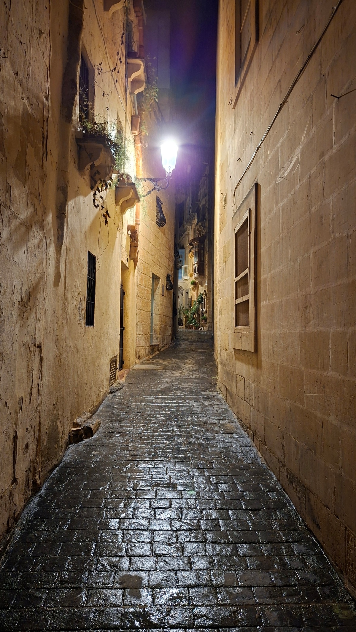 1b498471-7b8b-45a1-b588-5d6b312361c2