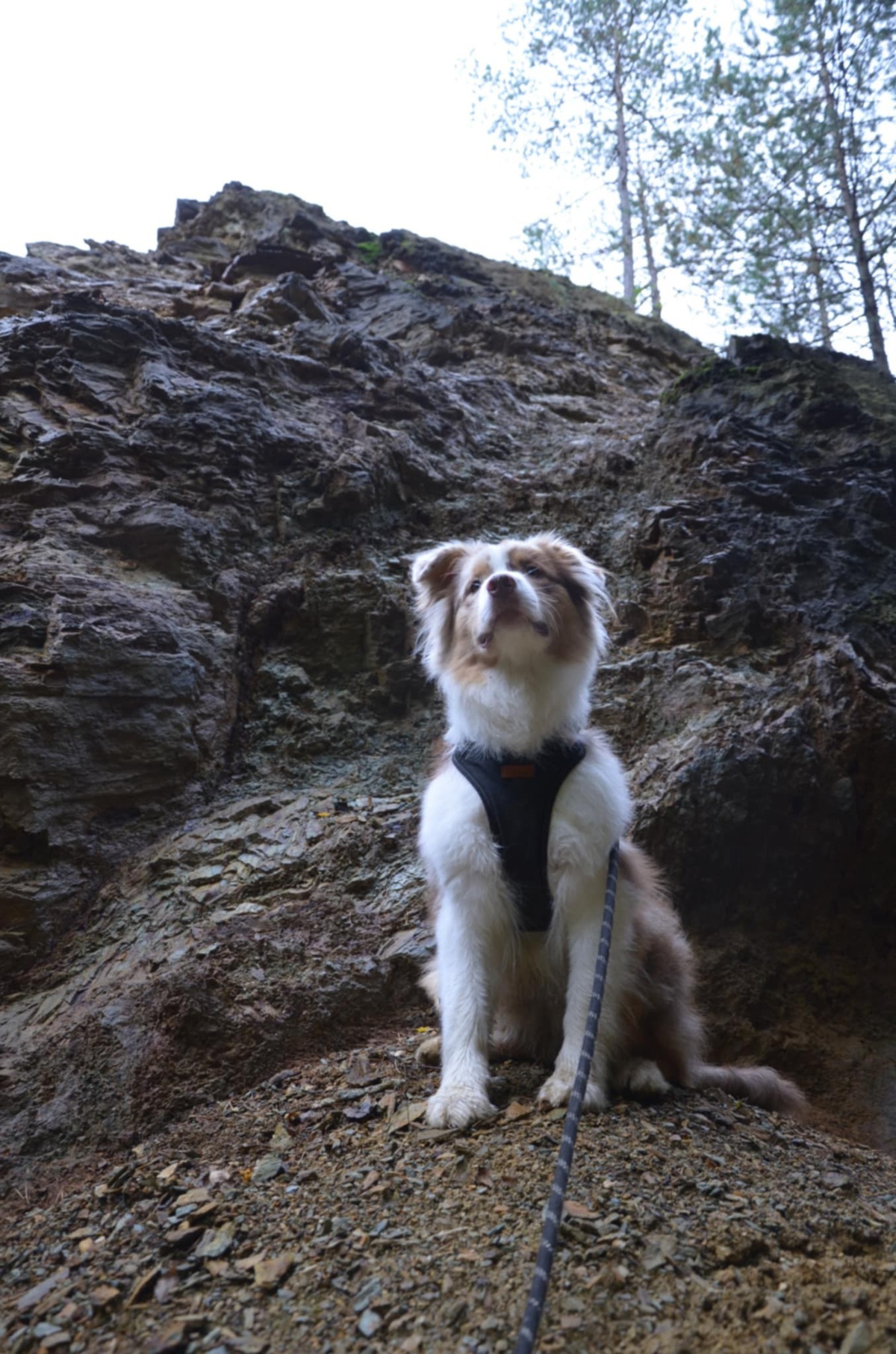 2c82dec0-8a2f-4882-8b80-61003a0dd0b7