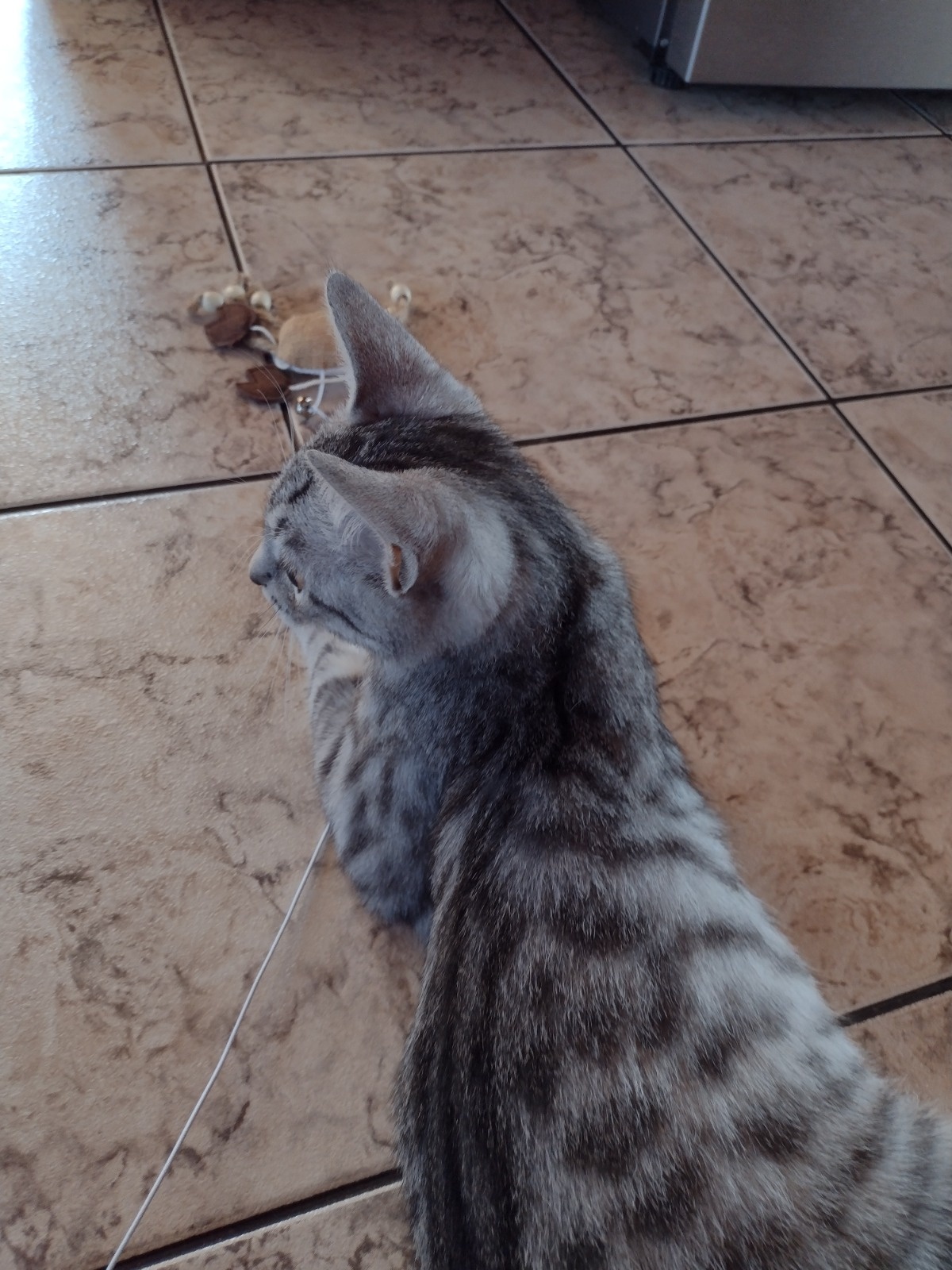 798432af-d0b3-4e3a-9064-0a09d94106d5