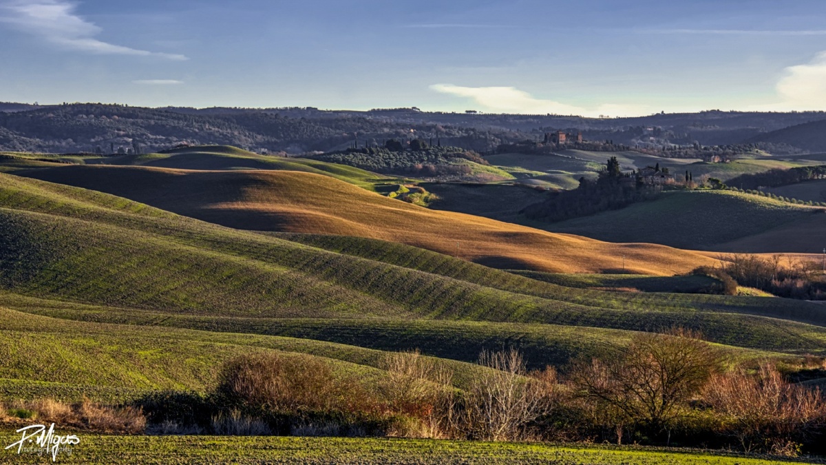 7df2b5f9-3db5-4103-9300-04e02081ee70