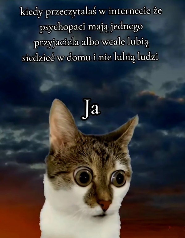 e82eee5d-f019-4e3a-bd66-fb48dc56ee42