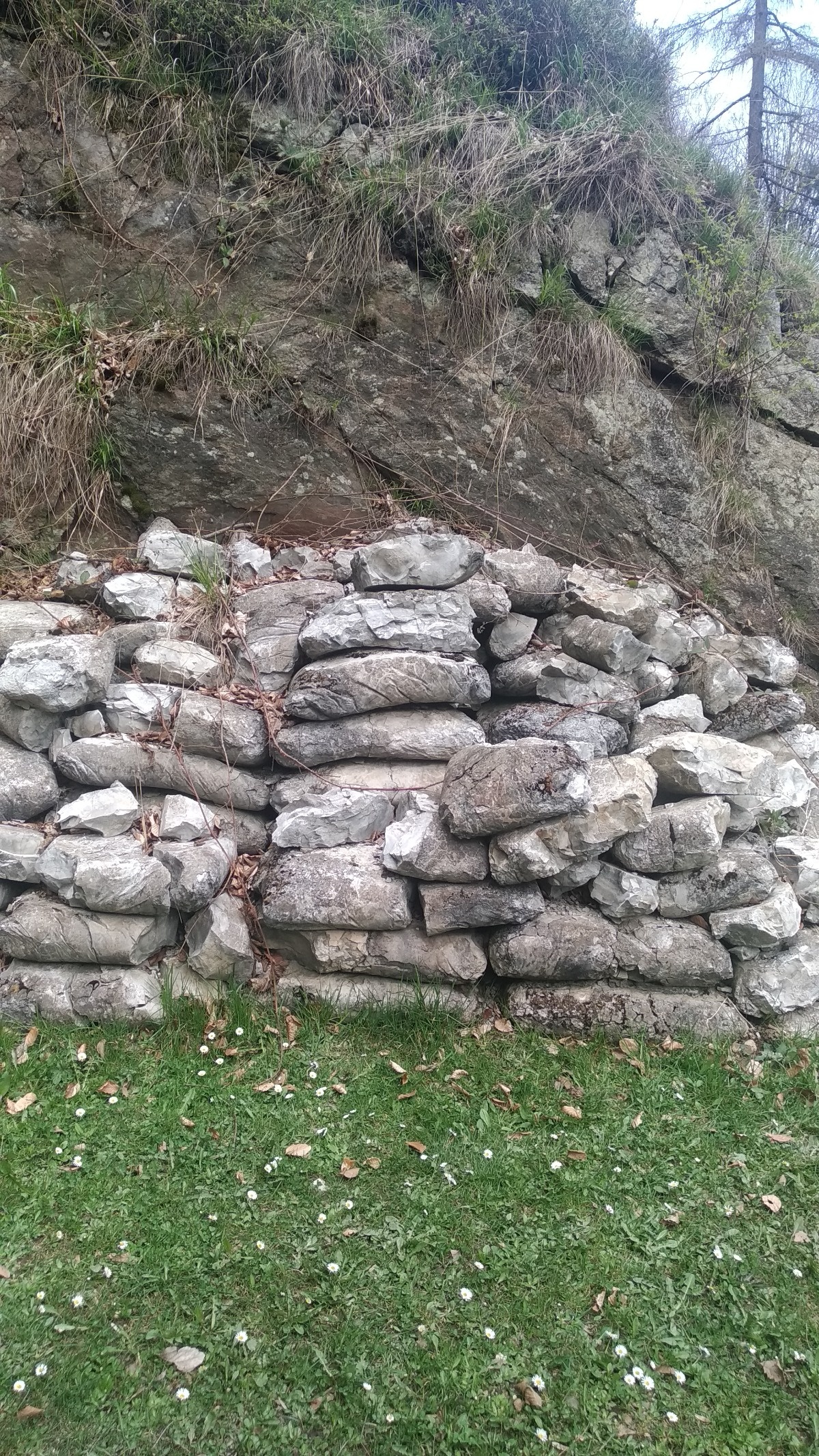 51f021f6-7554-475f-a476-253acd462f0d