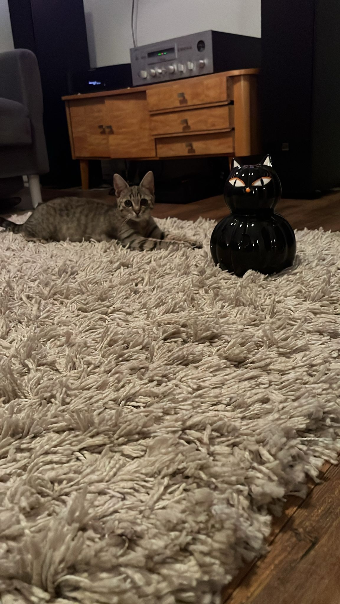 6e52c541-bb69-41f1-81ca-9e70a7f52229