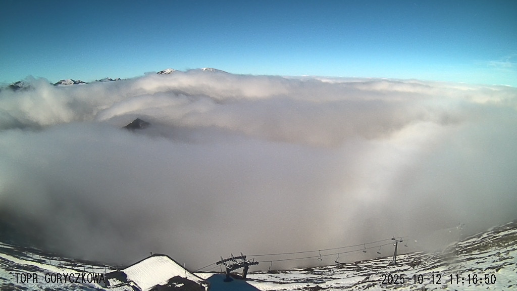 f73d34b8-5ad5-421b-8dd5-601cd3b81dcd