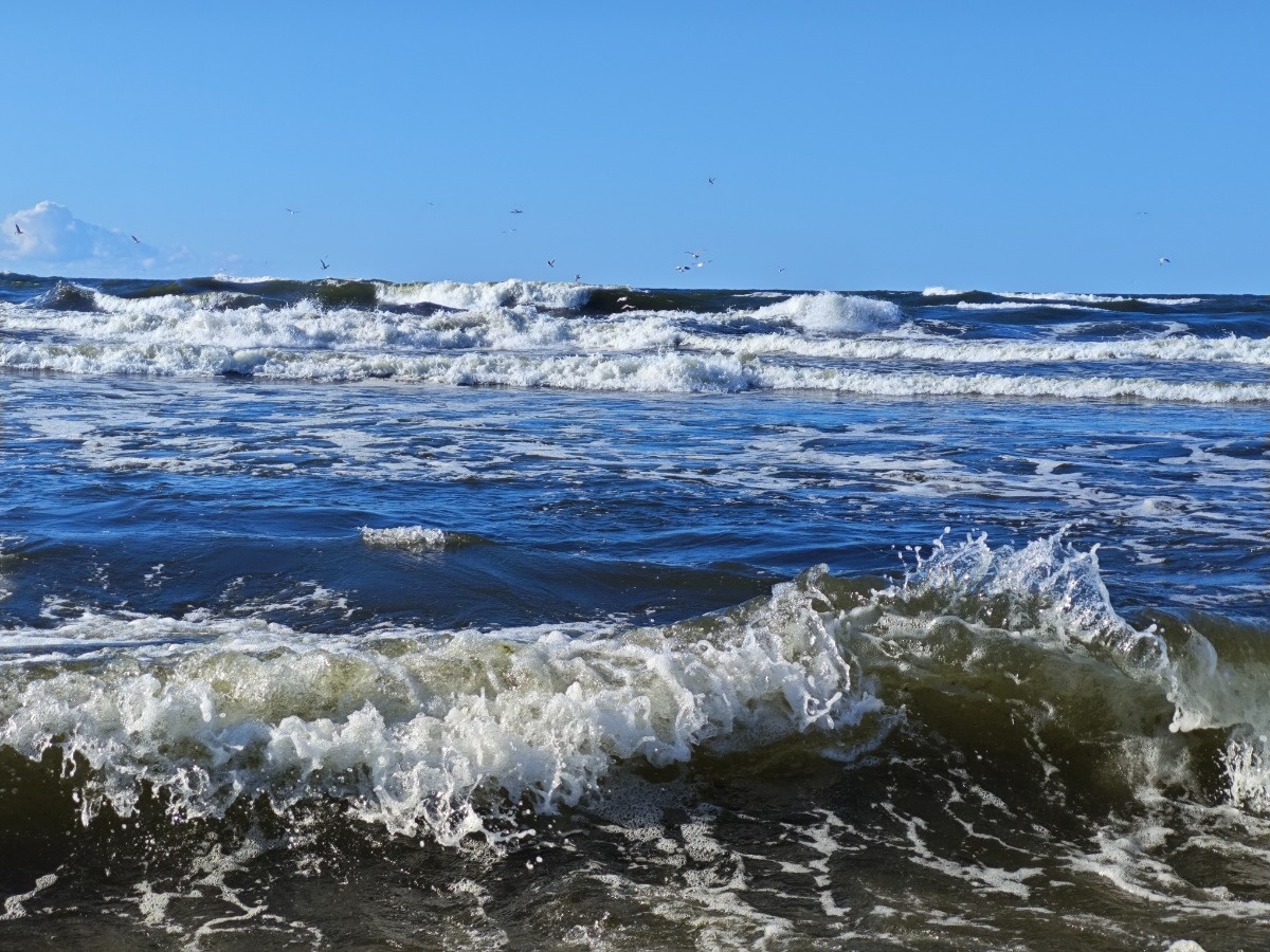 47a3178e-66e4-4786-8fb7-e0b30894e7c2