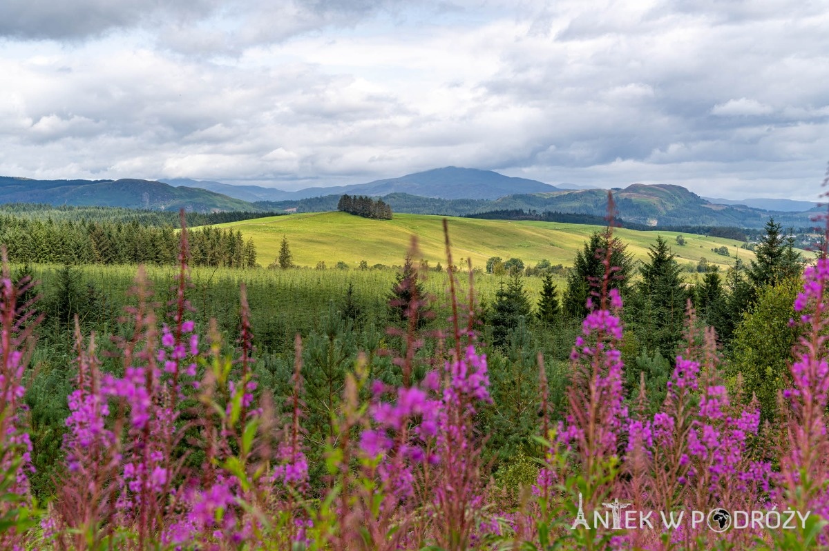 bd906e31-ed37-44ac-be58-71b58c5aec3a